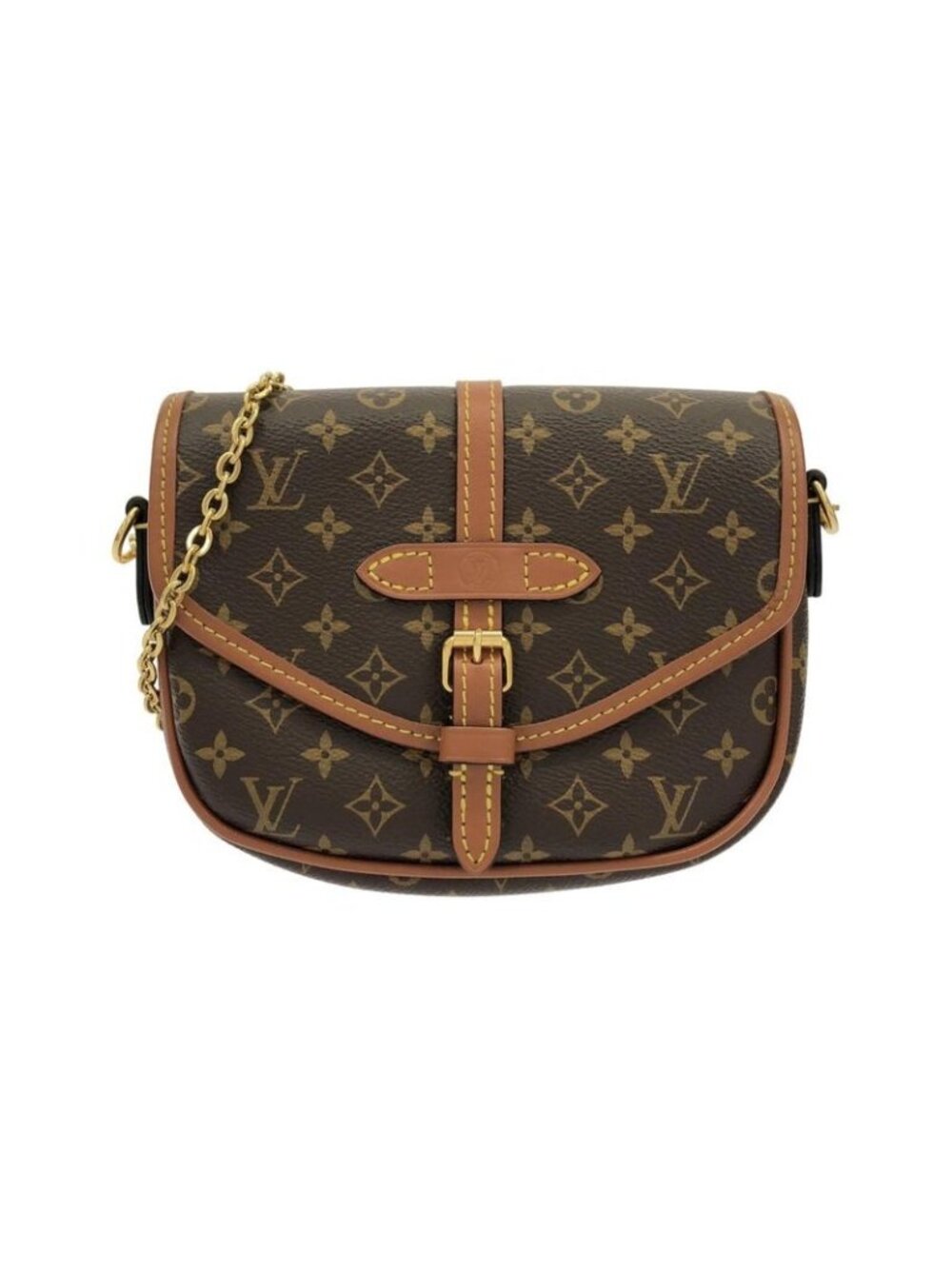 Louis Vuitton Monogram Solo Shoulder Bag